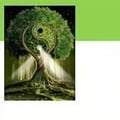 Logo qi gong