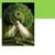 Logo qi gong